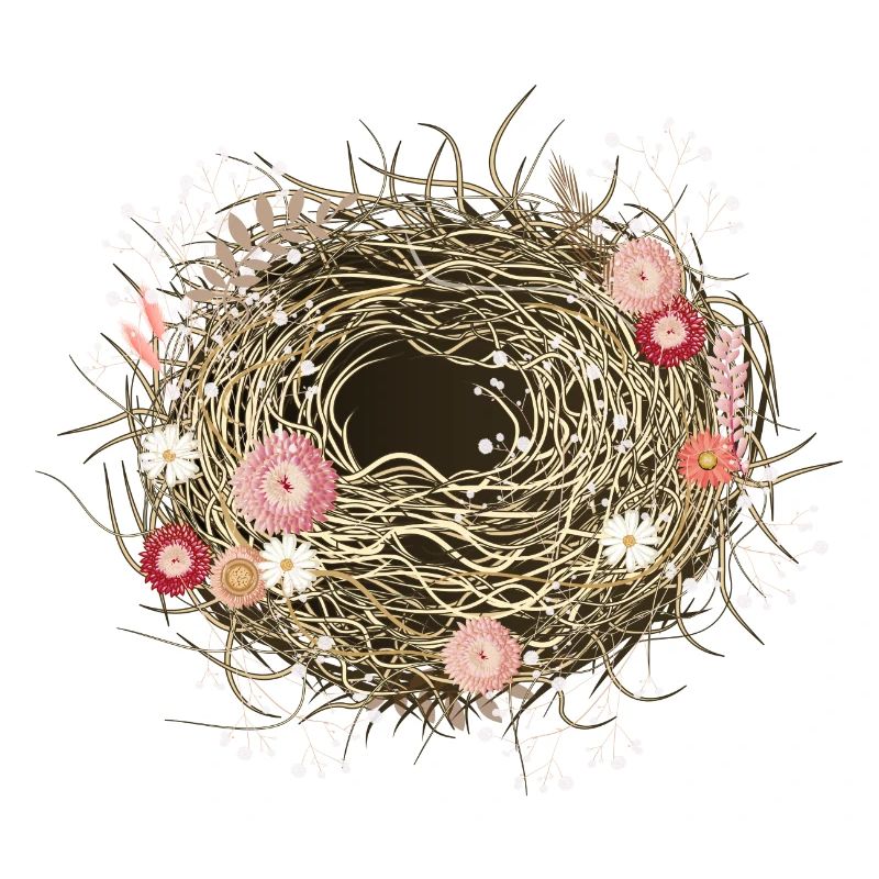 Nid d’oiseau vide ou panier de Pâques avec des fleurs séchées