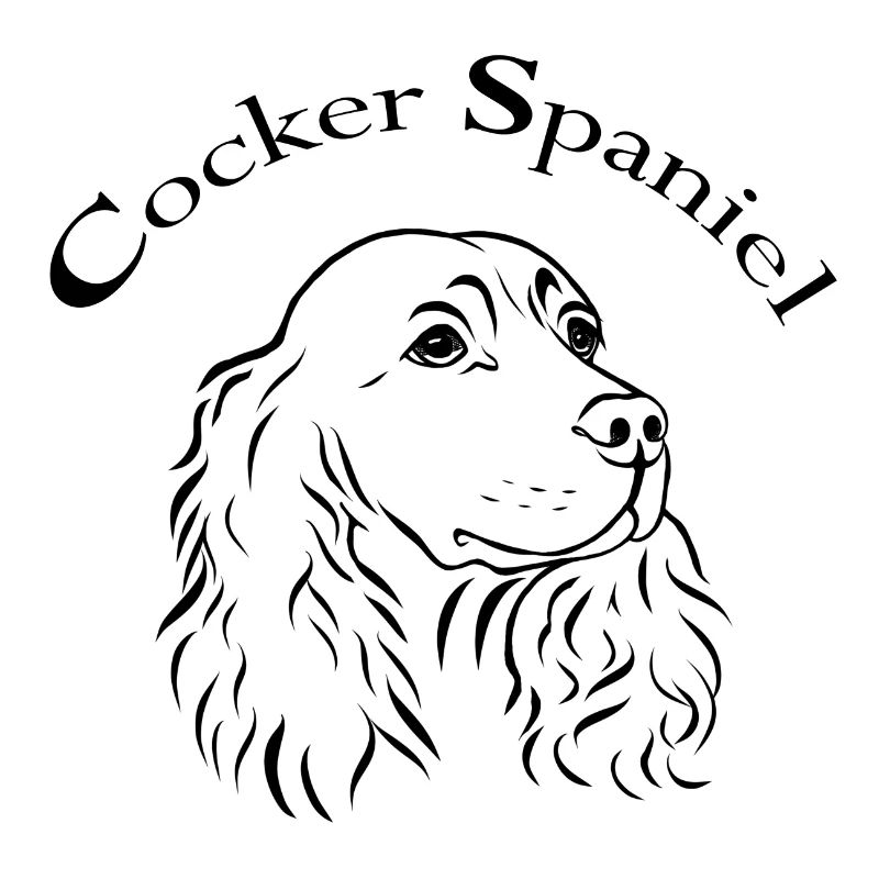 Portrait de cocker