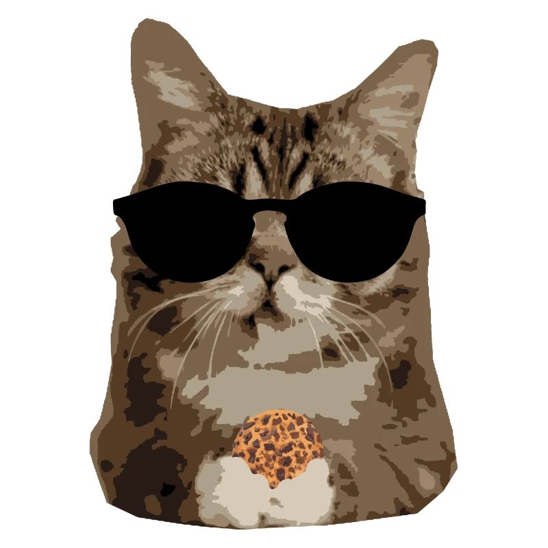 Chat à biscuits lunettes de soleil - se détendre