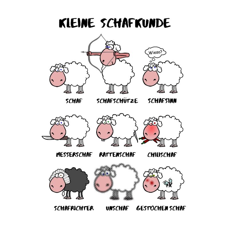 A little sheep knowledge