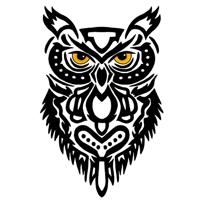 Der Blick der schwarzen Eule