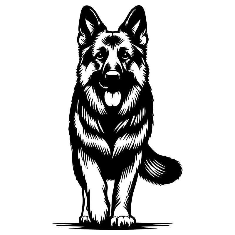 Deutscher Schäferhund
