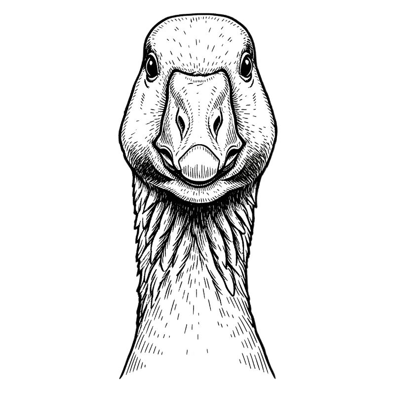 Goose