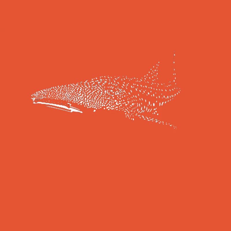 Requin-baleine