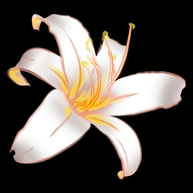 WHITE LILYLILY Magic White Lily