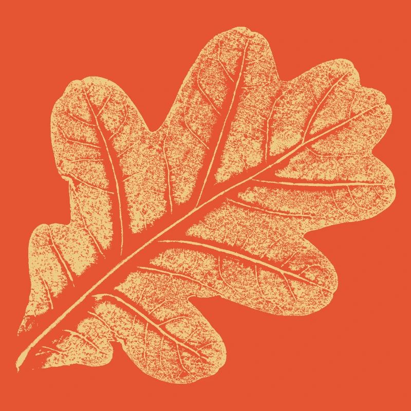 Leaf Oak / Oak Leaf - Nature Design