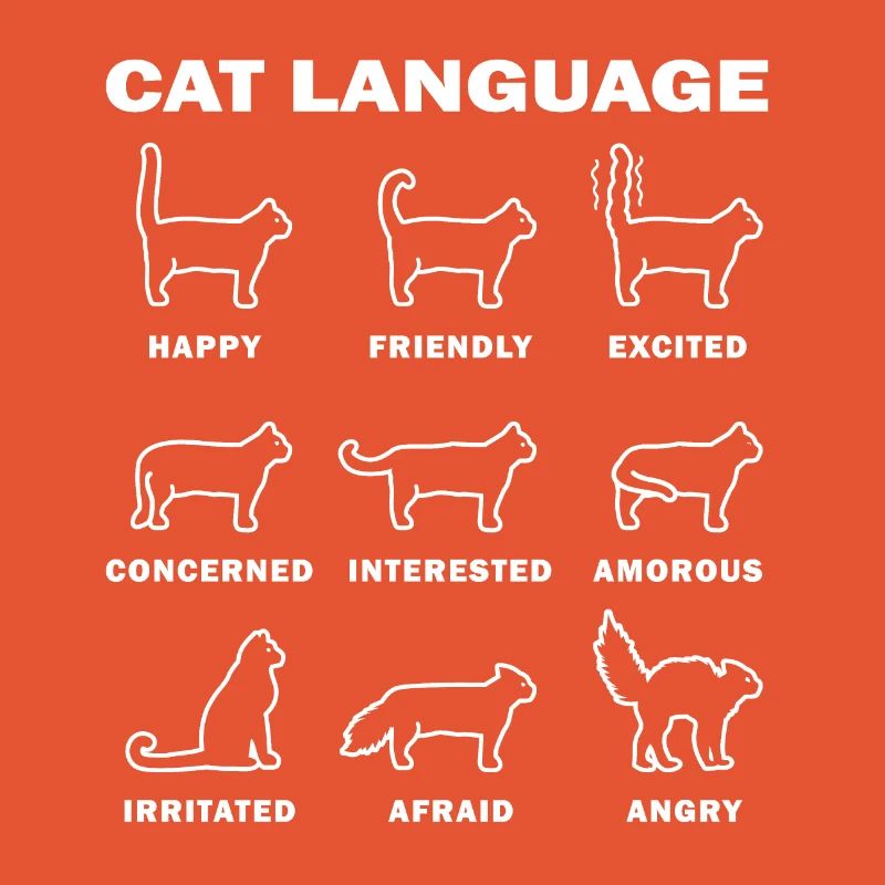 Sprache der Katzen