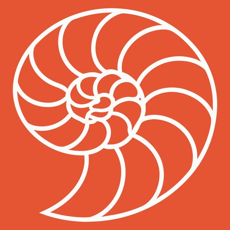 Spirale Nautile Blanche