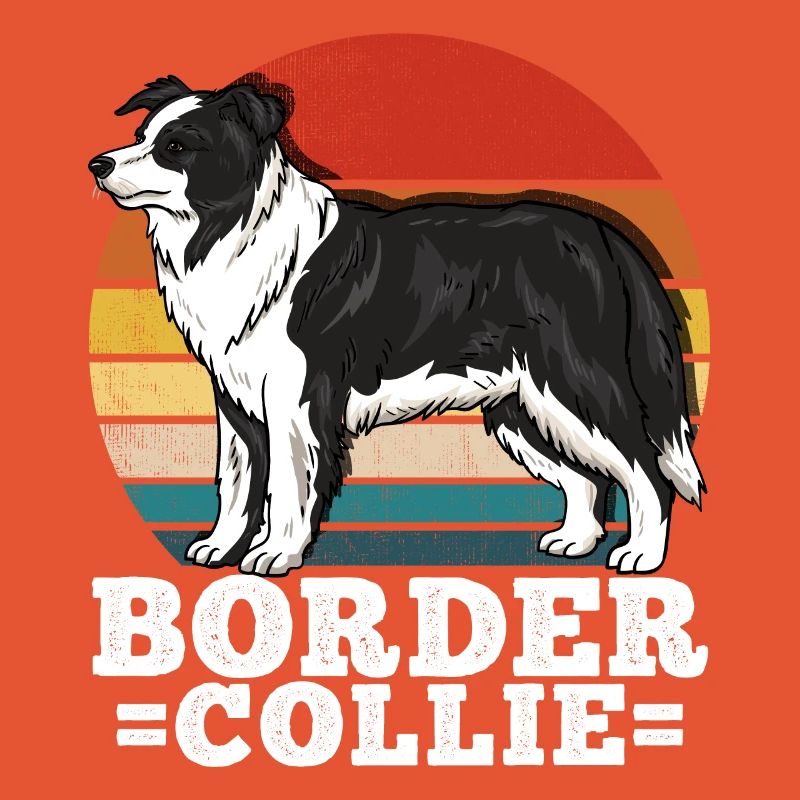 Border Collie Retro