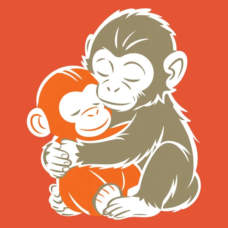 Hugging Monkey Duo
