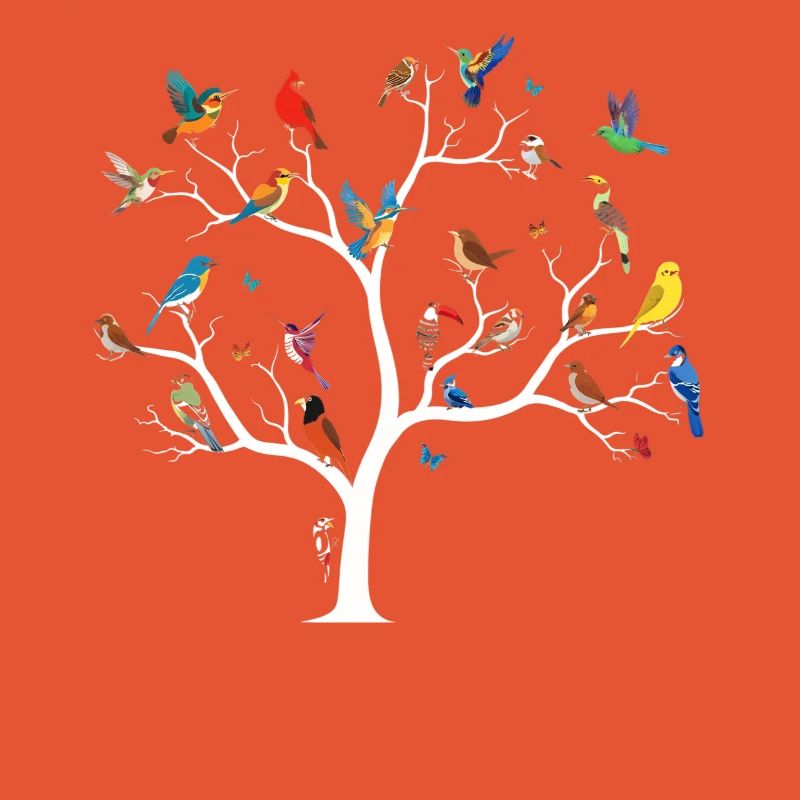 Observation des oiseaux Ornithologue Nerd