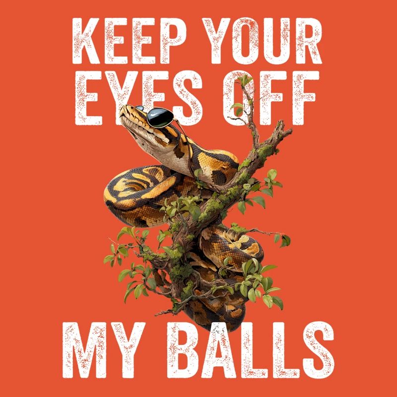 Königspython Schlangen Liebhaber Terrarium Python