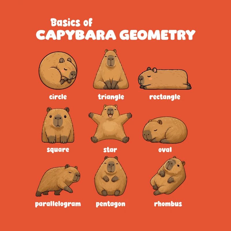 Basics of Capybara Geometry Funnier