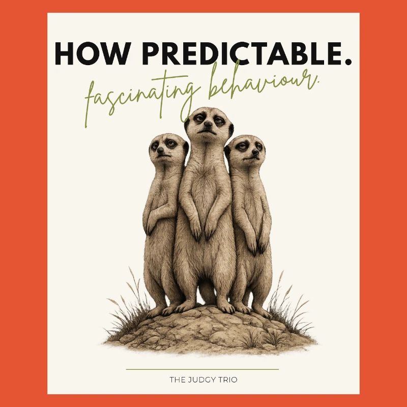 How Predictable Meerkat Trio