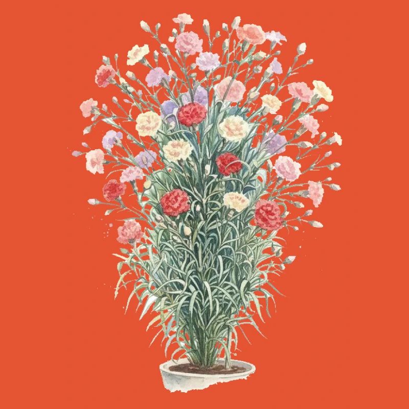 Romantic carnation bouquet