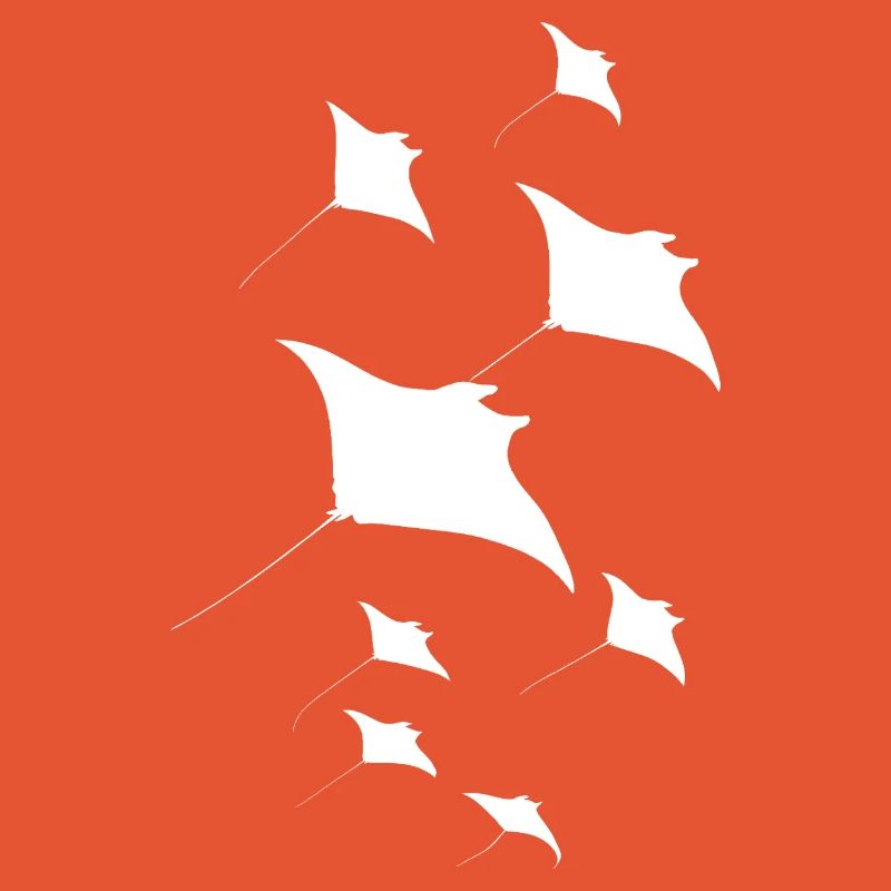 Manta Ray, Devil Ray, Stingray, Diver