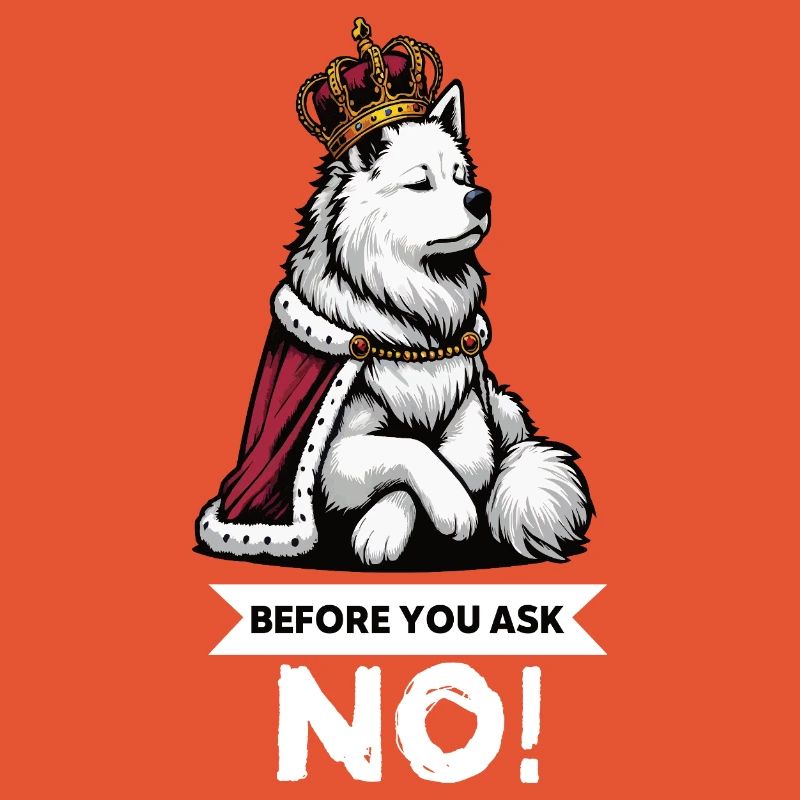 Before You Ask Weißer Schäferhund Schäferhund 