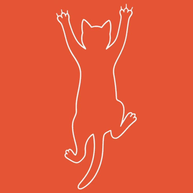 Climbing cat.