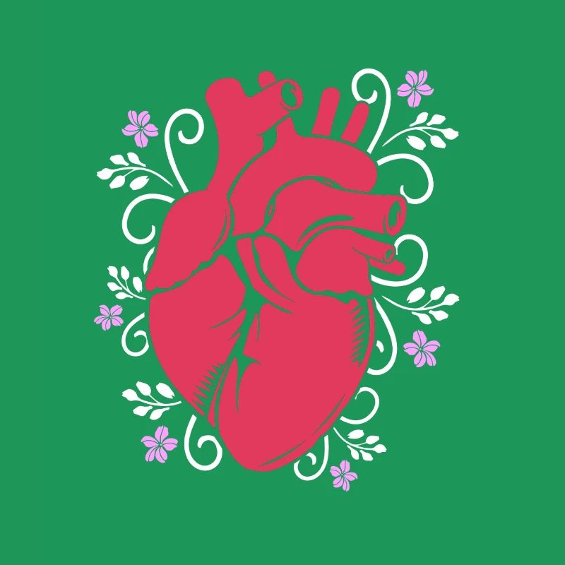 Cardiogramme, cardiographie, échographie, échographie