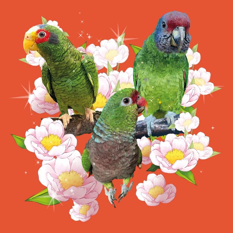 Perroquets