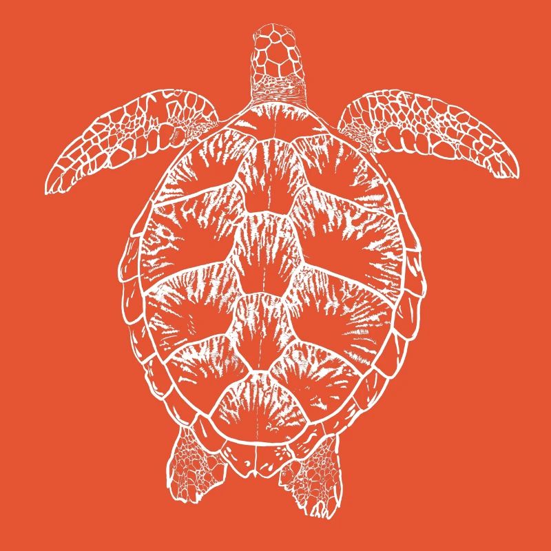 Turtle white2