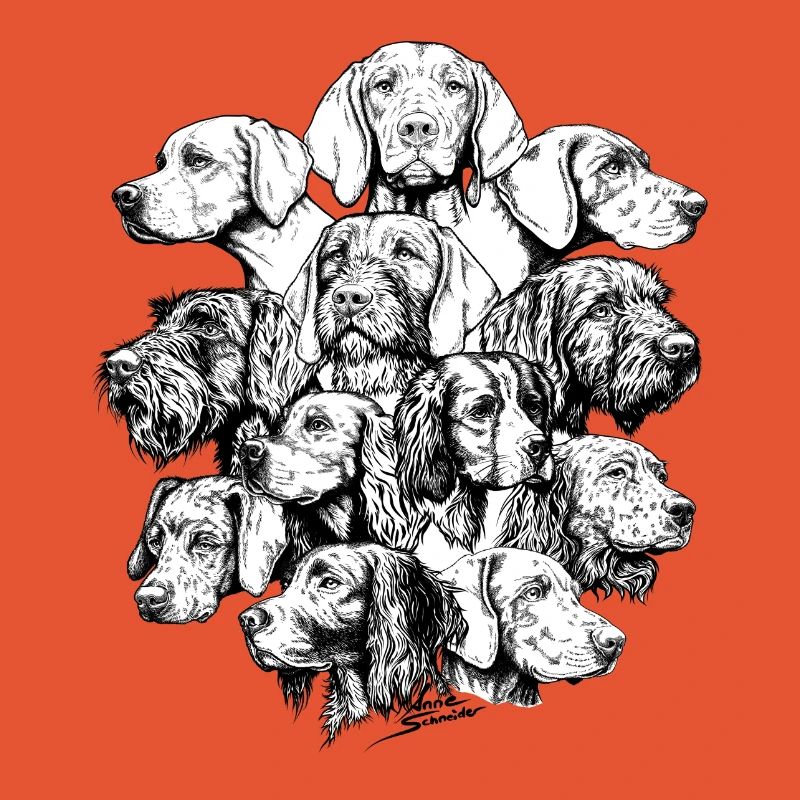 Chiens pointant des objets cachés