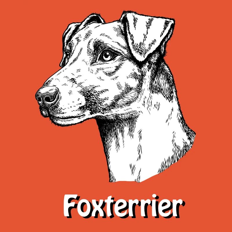 Foxterrier Glatthaar Portrait
