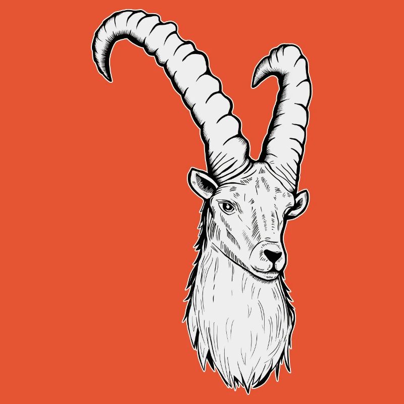 Steinbock Sternzeichen