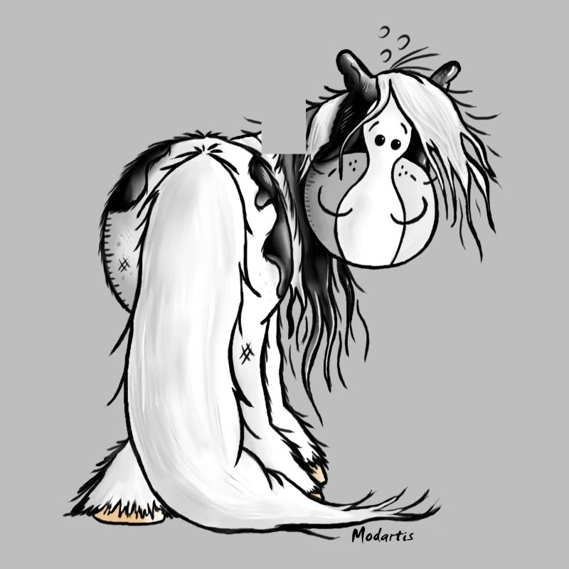 Irish Tinker Pferd - Horse - Schecke