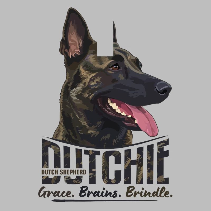 Dutchie - Holländischer Schäferhund