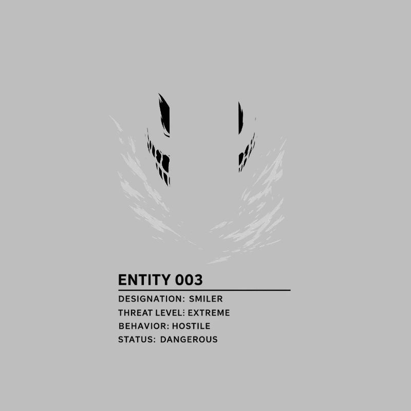 entity_003_transp_2
