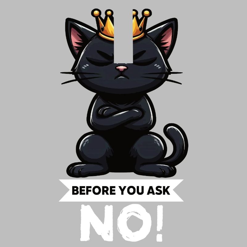 Before You Ask Cat Cat Cat Lover Kitty