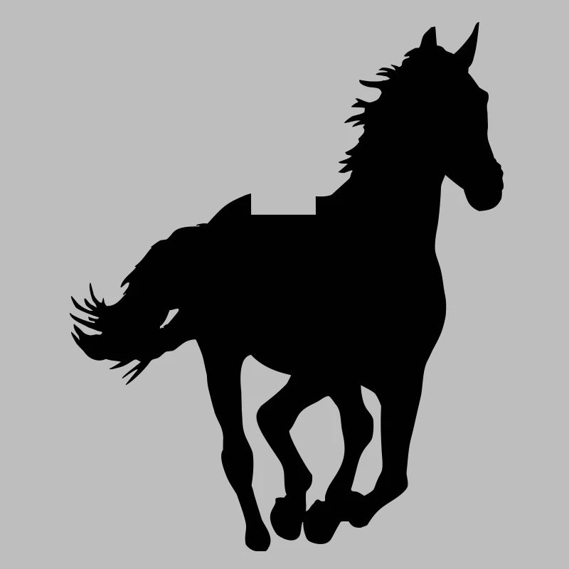 Ein Pferd.
