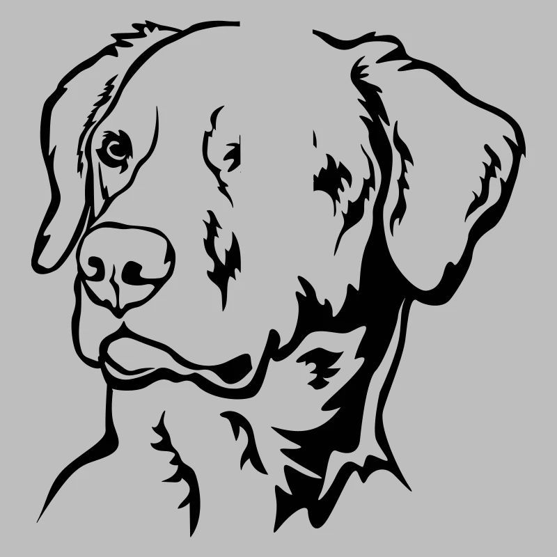Labrador Kopf