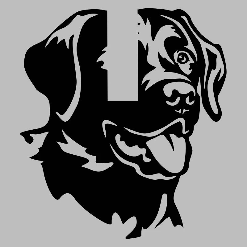 Labrador Kopf