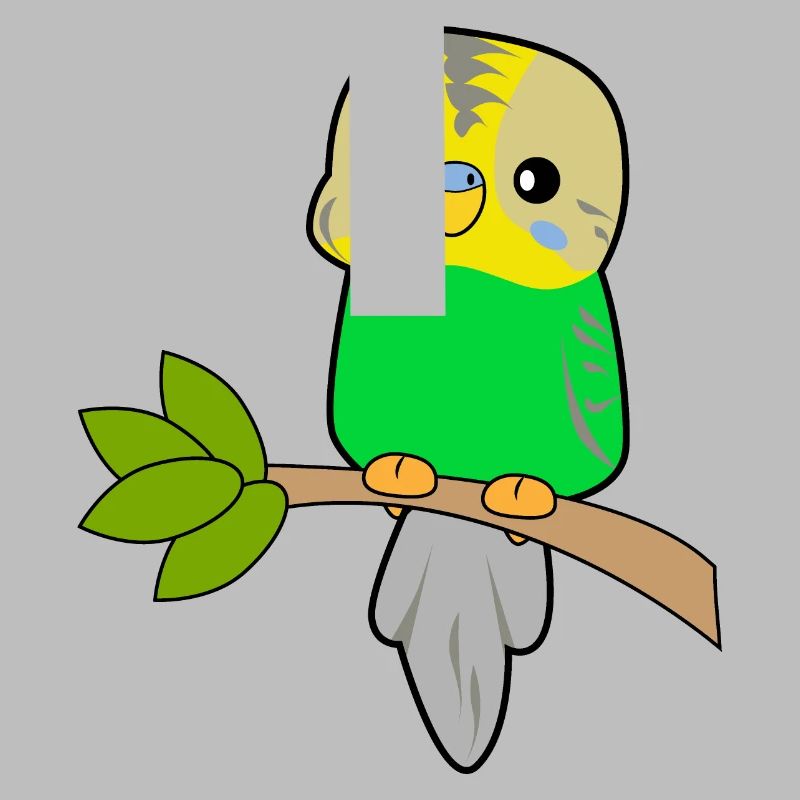Budgerigar Parrot