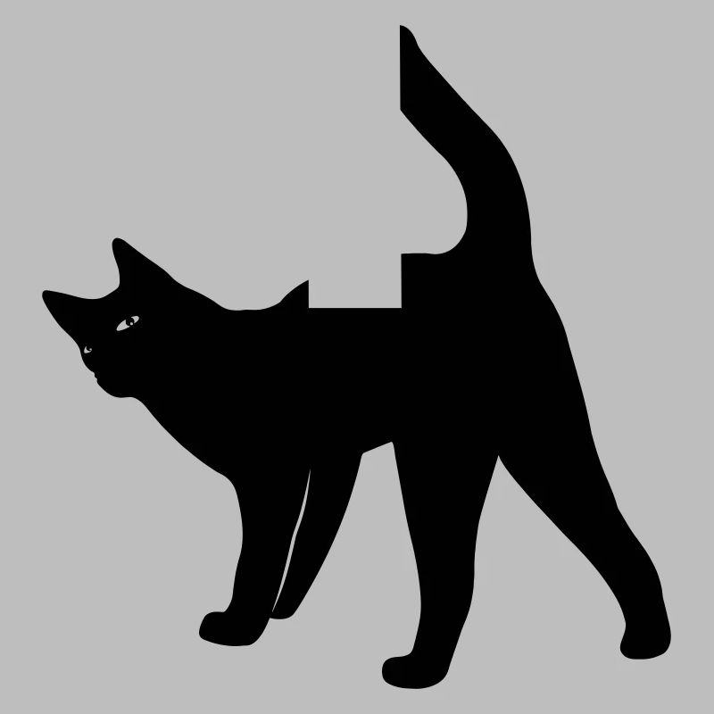 Chat chat