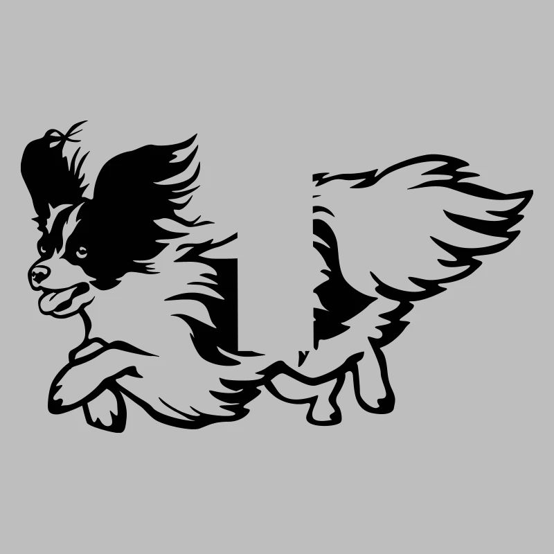 Papillon
