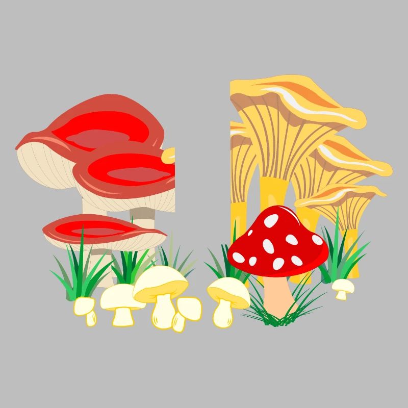 Composition colorée des champignons