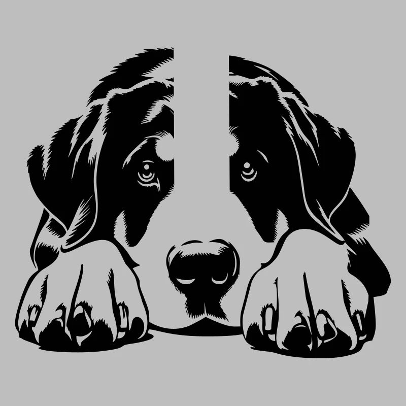 Großer Schweizer Sennenhund