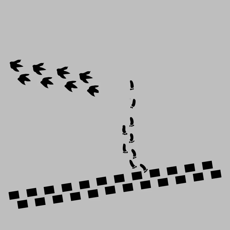 Traces