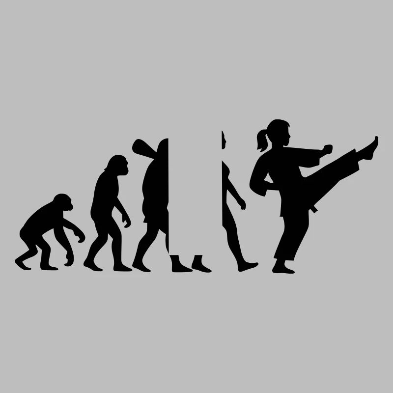 Karate Evolution
