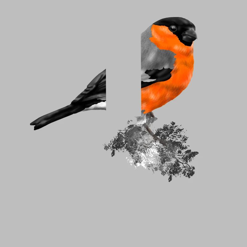 oiseau