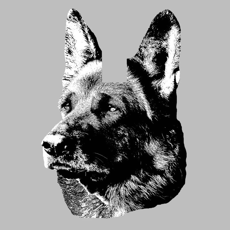 German Shepherd,Dog head,German Shepherd,Dogs