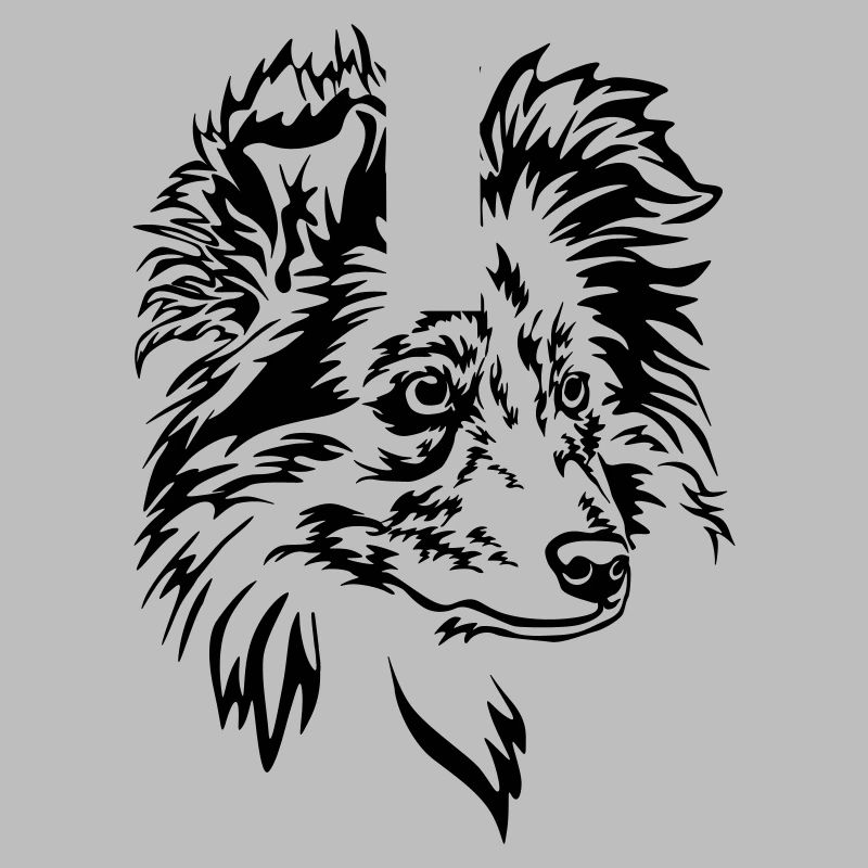 Sheltie Head
