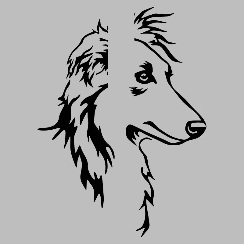 Langhaar Whippet Kopf