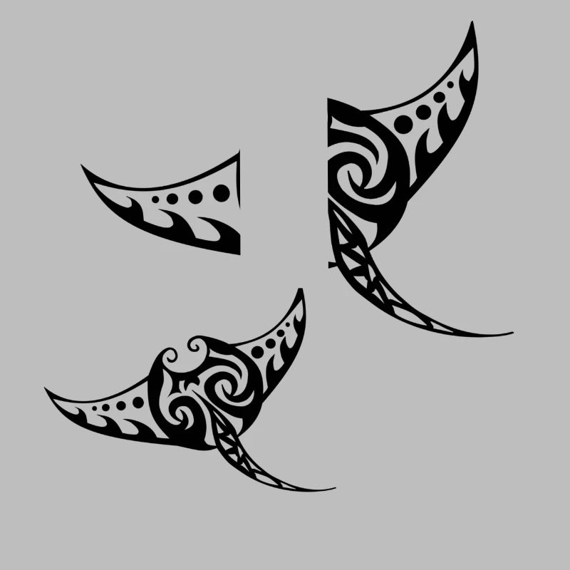 Two rays