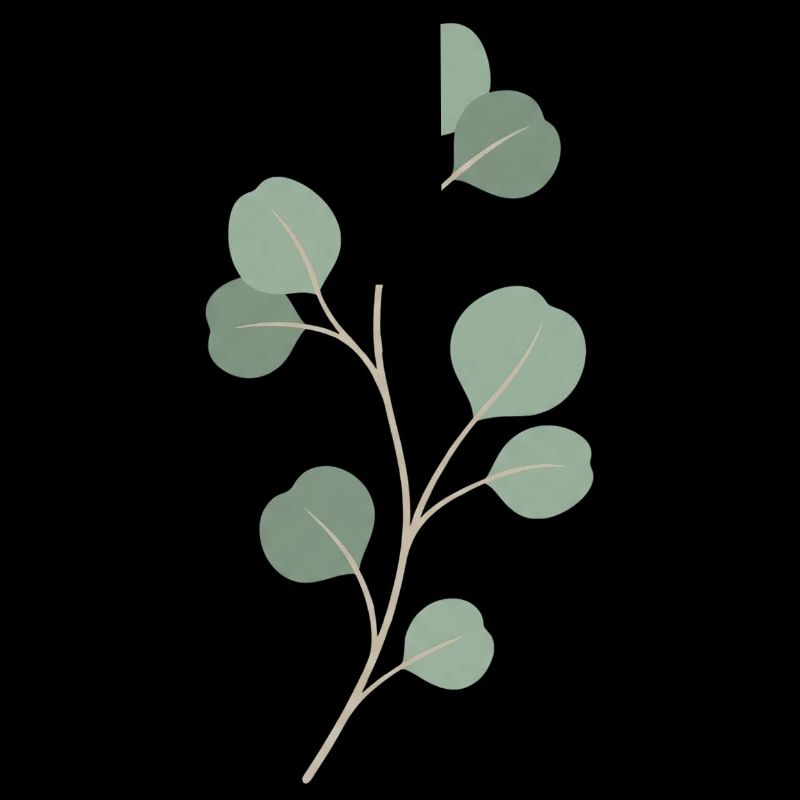 Rameau de feuille d’eucalyptus