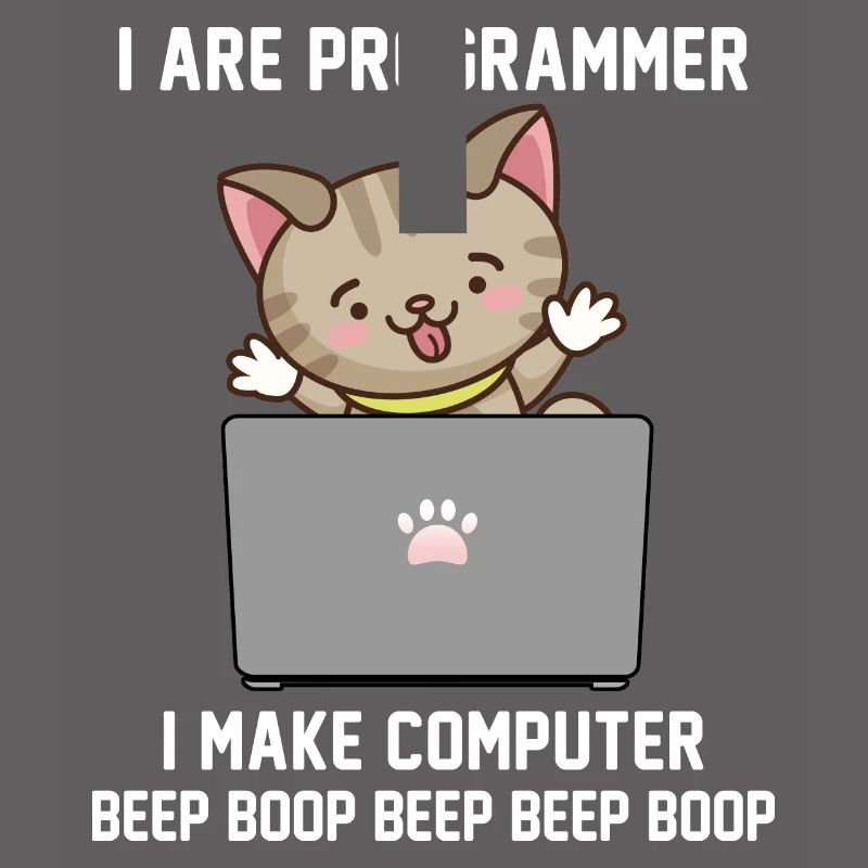 Programmeur