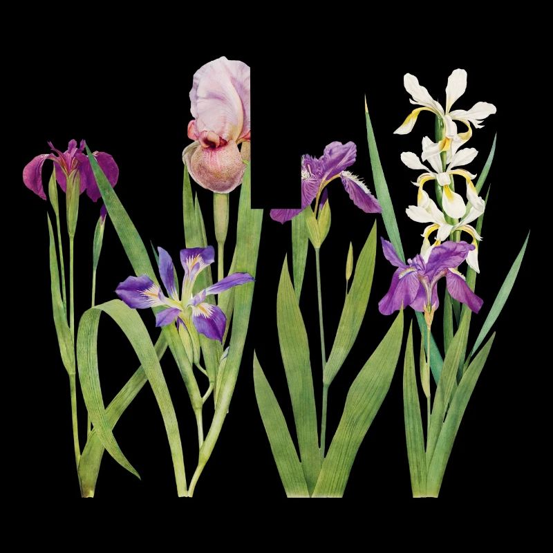 Wilde Iris und Orchidee Botanisches Design